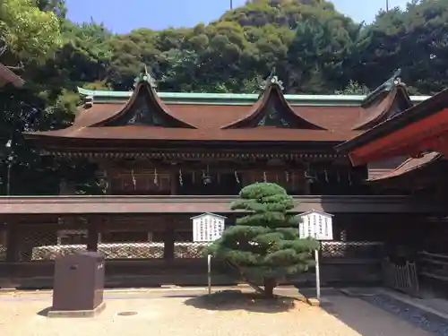 住吉神社の本殿