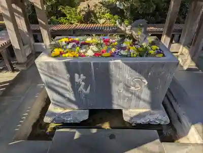 龍華寺(神奈川県)