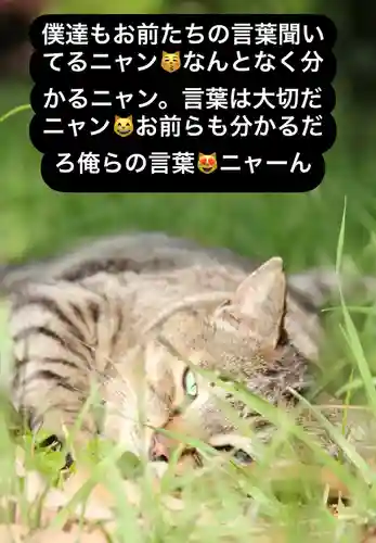 専念寺(大阪府)