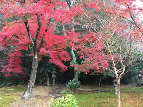 行基寺の自然