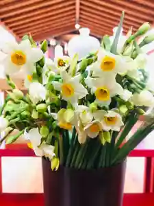 總社 和田八幡宮の自然(2020年12月20日(日) 18時46分29秒投稿)