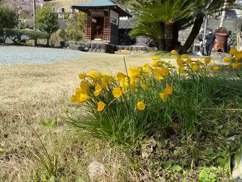 円通寺(神奈川県)