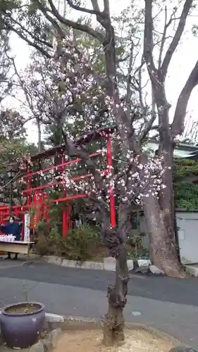 居木神社(東京都)
