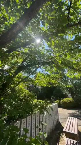 住吉神社(大阪府)