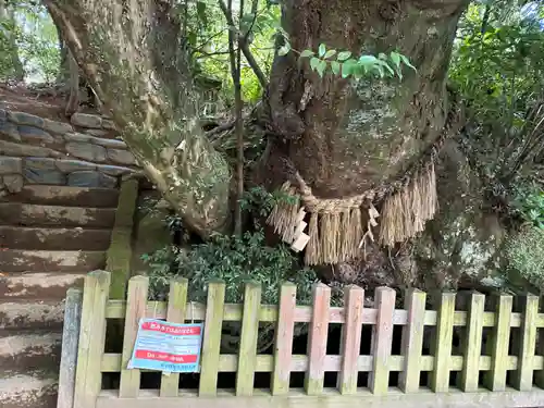 槵觸神社(宮崎県)