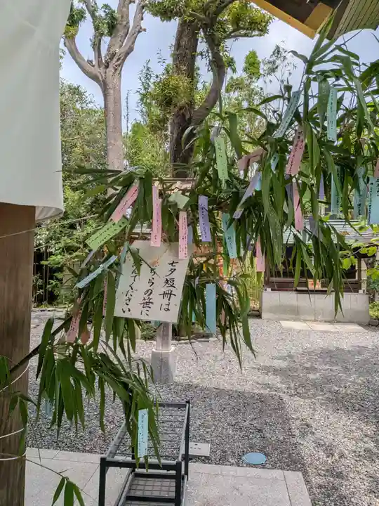 阿佐ヶ谷神明宮(東京都)