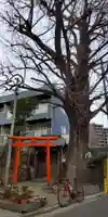 北浜三社稲荷神社の鳥居