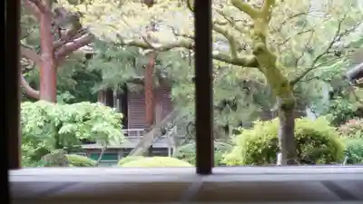 青蓮院門跡(京都府)