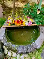 仙台大神宮(宮城県)