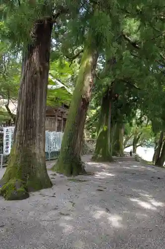 洲原神社の自然