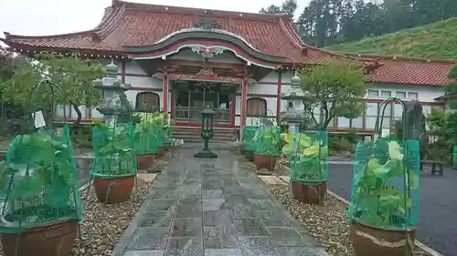 洞源院の本殿・本堂