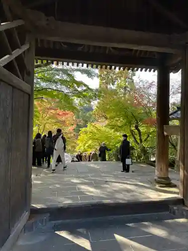 円覚寺(神奈川県)