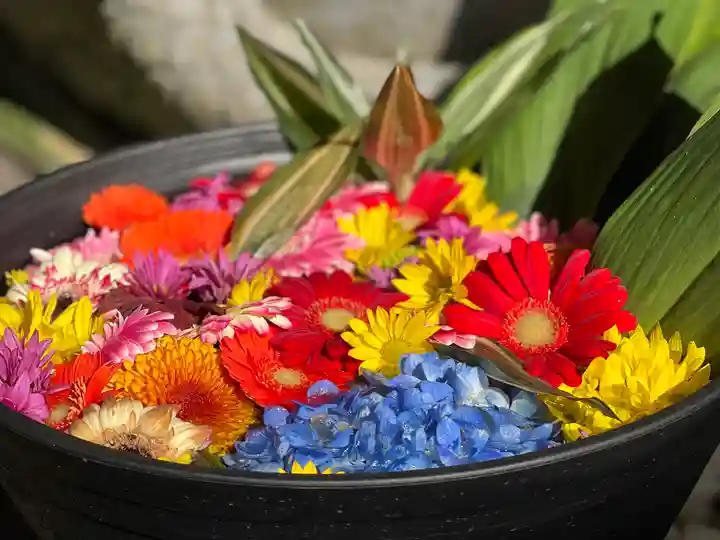 須山浅間神社の手水舎