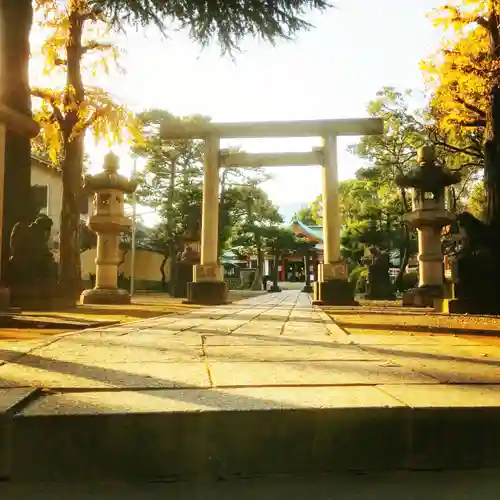 品川神社の鳥居