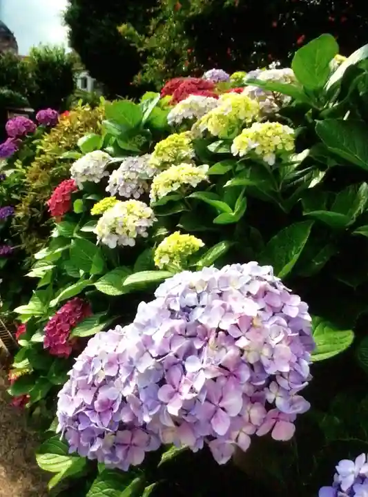 福王山 慈眼寺の自然