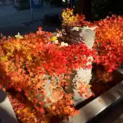 滑川神社 - 仕事と子どもの守り神の手水