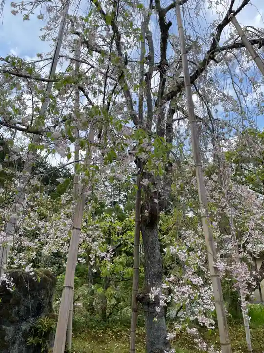 常照寺(京都府)