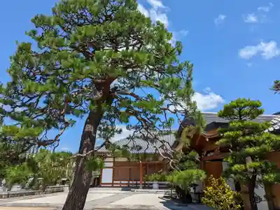 地蔵寺（桂地蔵寺）(京都府)