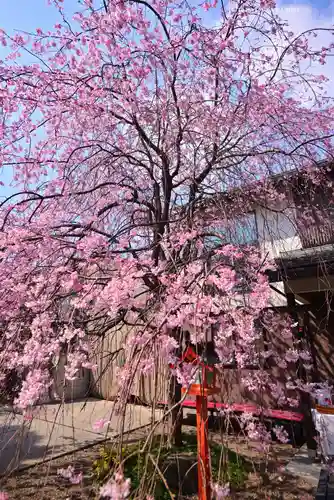 猿田彦神社(東京都)
