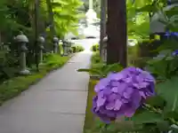 久安寺のその他建物