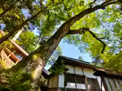 丹生川上神社（下社）(奈良県)