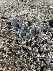 大鏑神社(福島県)(2024年02月17日(土) 14時41分14秒投稿)