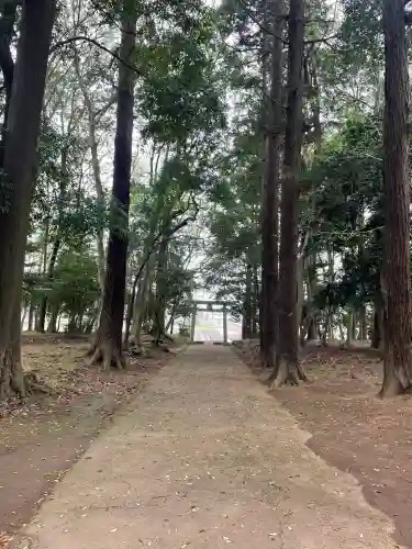 東蕗田天満社の{uncategorized: "未分類", other: "その他", undefined: "問題あり", building: "その他建物", grave: "お墓", sacred_gate: "鳥居", guardian: "狛犬", statue: "像", buddha: "仏像", history: "歴史", nature: "自然", garden: "庭園", animal: "動物", pagoda: "塔", temizu: "手水舎", mountain_gate: "山門・神門", sanctuary: "本殿・本堂", subordinate: "末社・摂社", art: "芸術", scenery: "景色", jizo: "地蔵", ema: "絵馬", goshuin: "御朱印", omikuji: "おみくじ", items: "授与品その他", amulet: "お守り", goshuincho: "御朱印帳", eats: "食事", festival: "お祭り", votive_dance: "神楽", shichigosan: "七五三参", wedding: "結婚式", experience: "体験その他", initially: "初詣", around: "周辺", anti_infection: "感染症対策"}