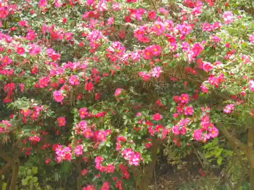 東勝寺跡の自然