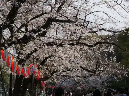 清水観音堂の自然