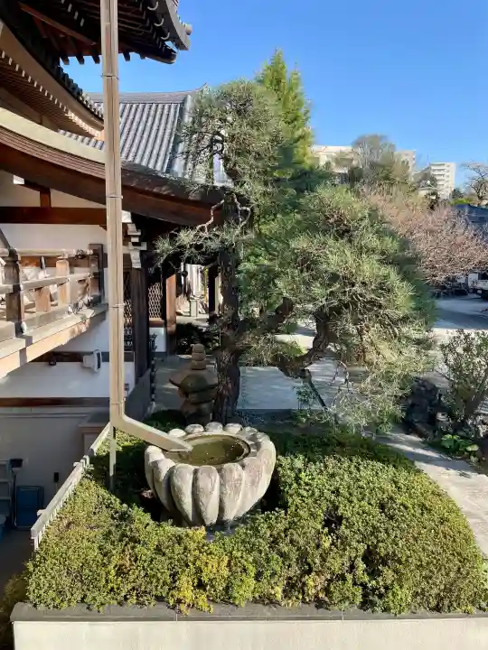 徳林寺の{uncategorized: "未分類", other: "その他", undefined: "問題あり", building: "その他建物", grave: "お墓", sacred_gate: "鳥居", guardian: "狛犬", statue: "像", buddha: "仏像", history: "歴史", nature: "自然", garden: "庭園", animal: "動物", pagoda: "塔", temizu: "手水舎", mountain_gate: "山門・神門", sanctuary: "本殿・本堂", subordinate: "末社・摂社", art: "芸術", scenery: "景色", jizo: "地蔵", ema: "絵馬", goshuin: "御朱印", omikuji: "おみくじ", items: "授与品その他", amulet: "お守り", goshuincho: "御朱印帳", eats: "食事", festival: "お祭り", votive_dance: "神楽", shichigosan: "七五三参", wedding: "結婚式", experience: "体験その他", initially: "初詣", around: "周辺", anti_infection: "感染症対策"}