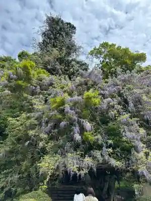礒部神社(富山県)