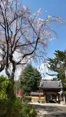 玄国寺の自然