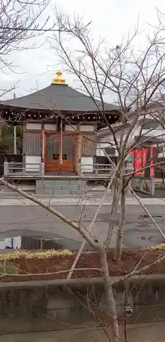 円通寺(埼玉県)