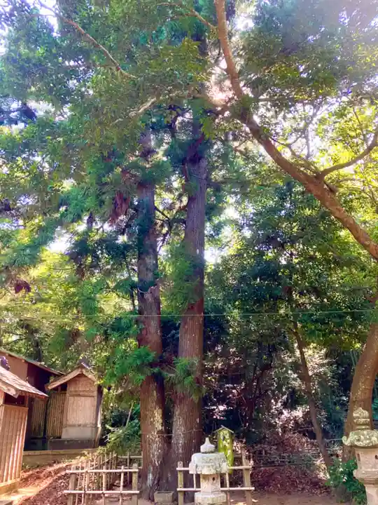 屋形四社神社(千葉県)