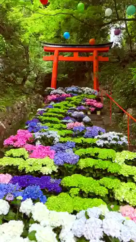 柳谷観音　楊谷寺(京都府)