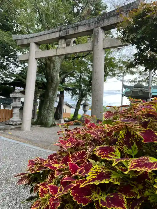 立志神社(滋賀県)