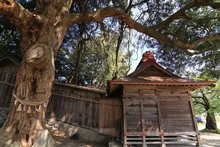 深山神社の本殿・本堂
