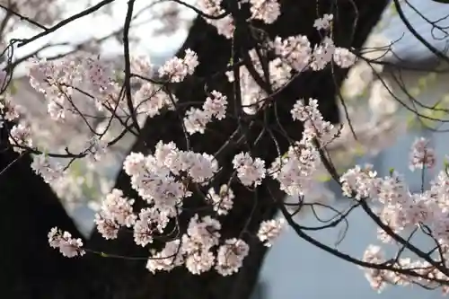 静御前堂の自然