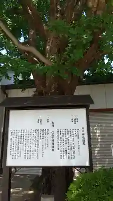 葛飾氷川神社の歴史