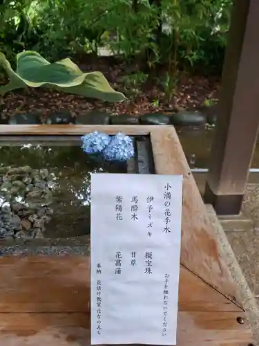 赤坂氷川神社(東京都)