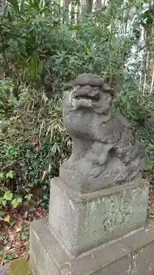 大麻止乃豆乃天神社の狛犬