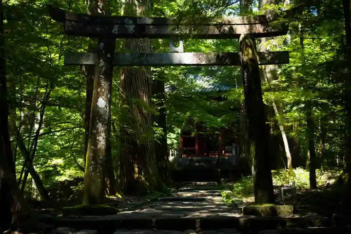 瀧尾神社(日光二荒山神社別宮)の鳥居