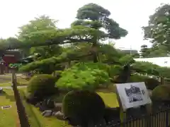 浄光寺の庭園