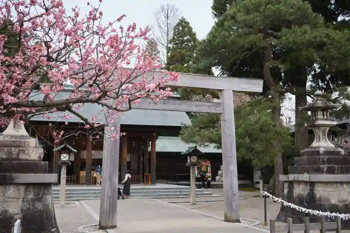 射水神社の鳥居