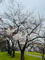 守りの神 藤基神社の自然