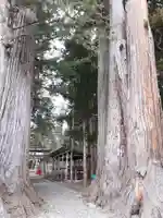 八坂神社の自然