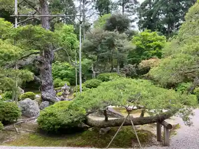 曼殊院門跡(京都府)