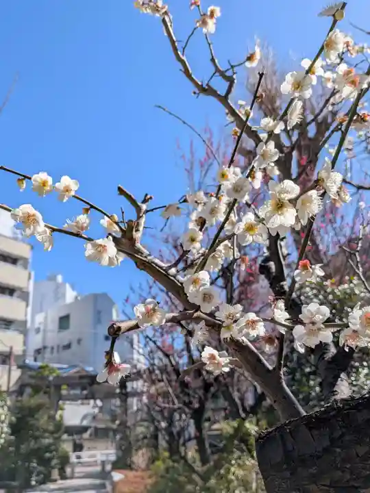 鳩森八幡神社(東京都)
