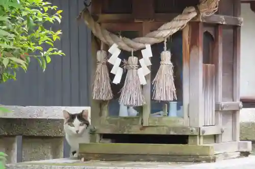 入江神社の末社