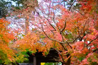 円覚寺(神奈川県)